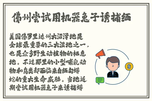 7x7x7x7x7x7x7x任意槽的尺寸